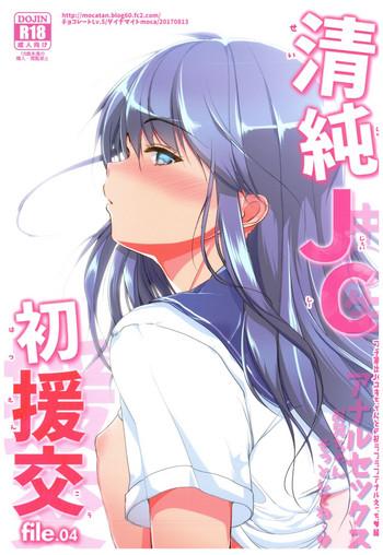 seijun jc hatsuenkou file 04 cover