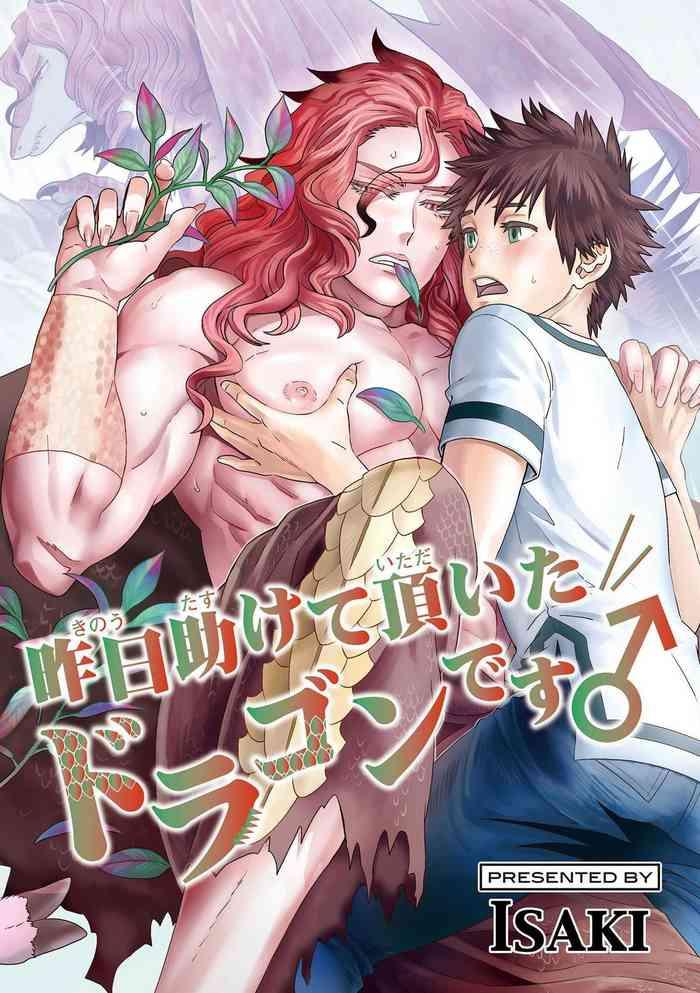 kinou tasukete itadaita dragon desu 1 1 2 cover