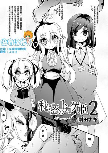 himitsu no tokage hime 2 cover