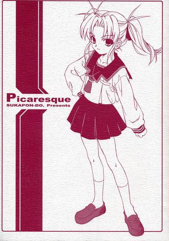 picaresque cover