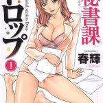 hishoka drop secretarial section drop 1 cover