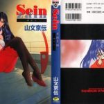 sein zain cover